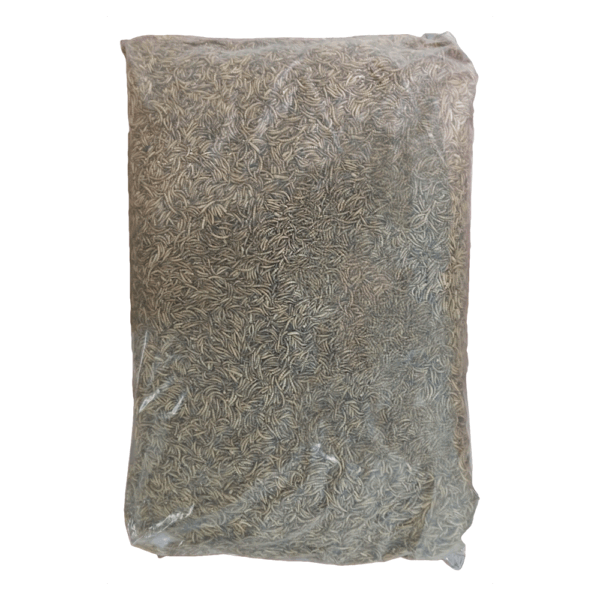 Dried Mealworms – 11 lb. Bulk Bag.
